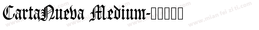CartaNueva Medium字体转换